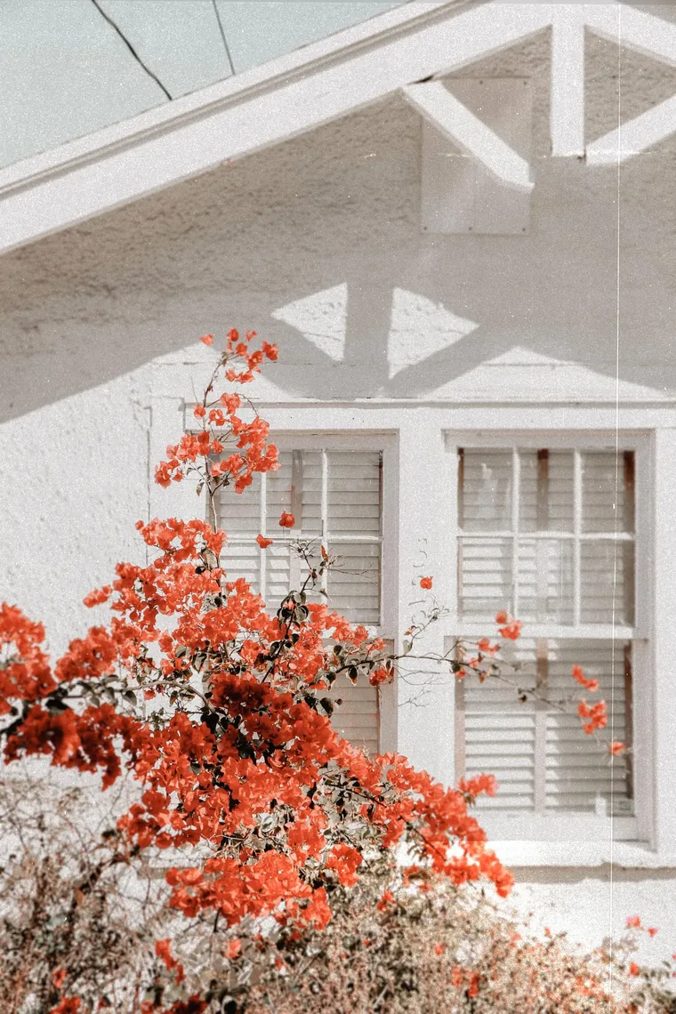 A Palm Harbor home exterior, the kind a property appraiser values